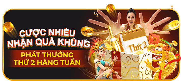 Hướng dẫn luật chơi đá gà chi tiết trên HI88 APP
