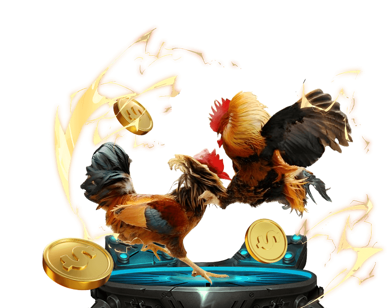 Hình ảnh vé số và trường đấu đá gà, thể hiện sự đa dạng của các trò chơi truyền thống như xổ số và đá gà trực tuyến trên hi88 app.